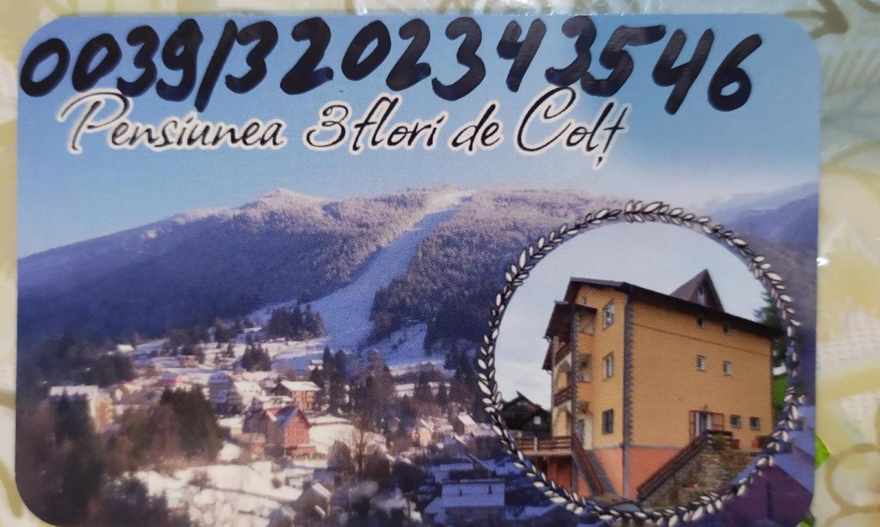 ホテル Pensiunea 3Flori De Colt Statiunea エクステリア 写真