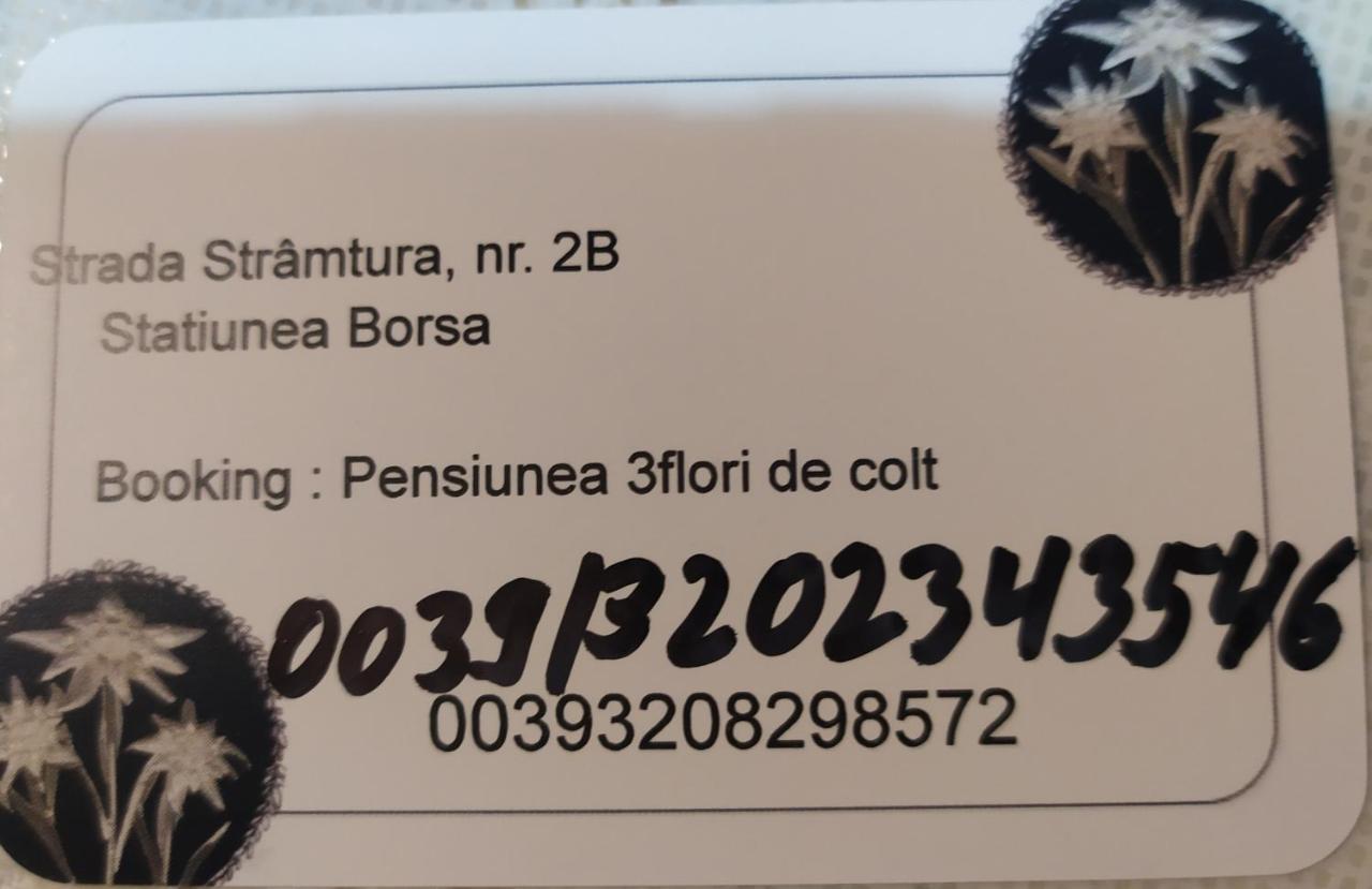 ホテル Pensiunea 3Flori De Colt Statiunea エクステリア 写真
